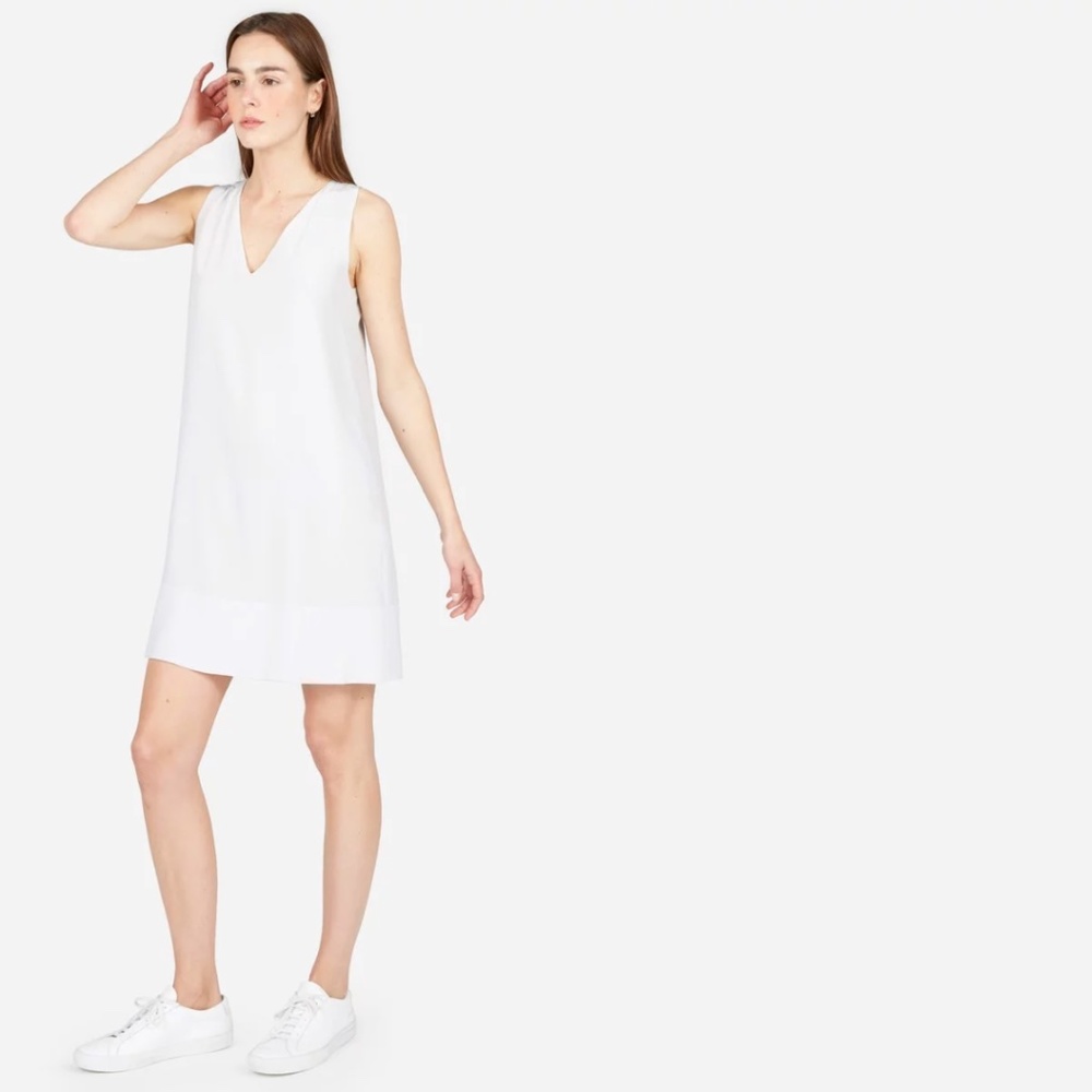 Everlane Shift Dress NWOT